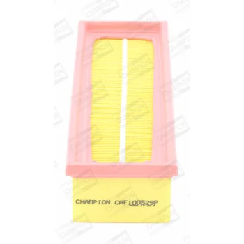 CHAMPION CAF100529P