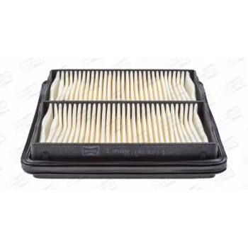 CHAMPION CAF100646P