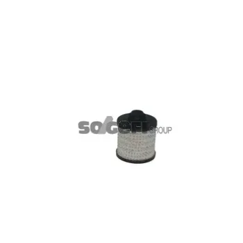 FRAM C11781ECO