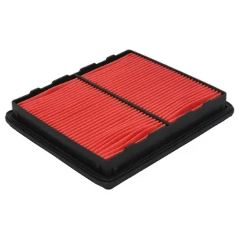 JC PREMIUM B24024PR