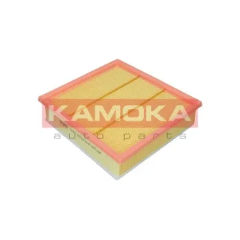 KAMOKA F240601