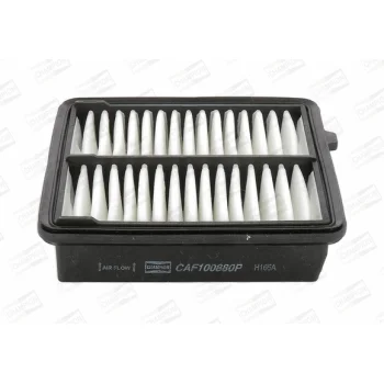 CHAMPION CAF100880P