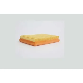 STEP FILTERS AE19810