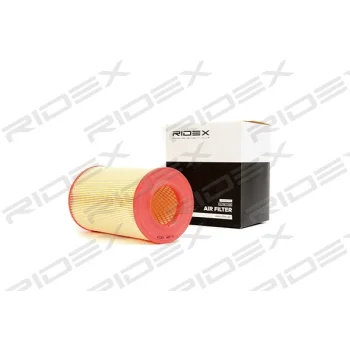 RIDEX 8A0116