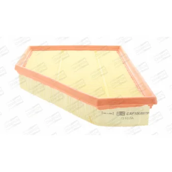 CHAMPION CAF100887P