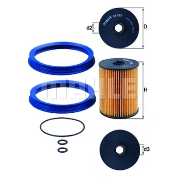 WILMINK GROUP WG1804947