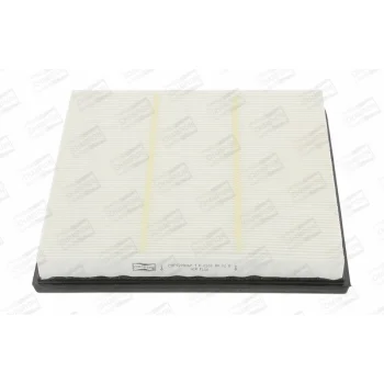 CHAMPION CAF100986P