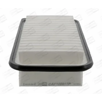 CHAMPION CAF100811P