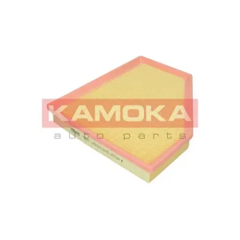 KAMOKA F252601