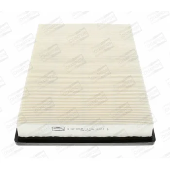 CHAMPION CAF100554P