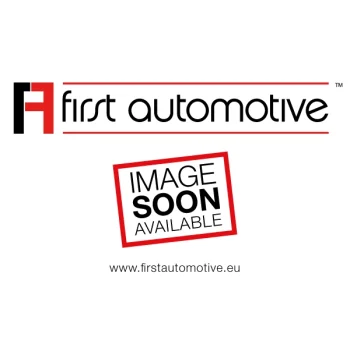 1A FIRST AUTOMOTIVE D21528