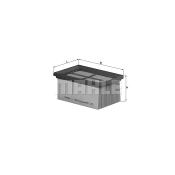 WILMINK GROUP WG1216953