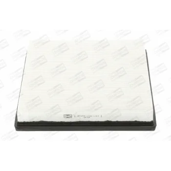 CHAMPION CAF100777P