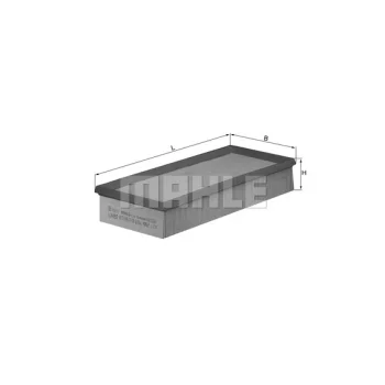 WILMINK GROUP WG1216546