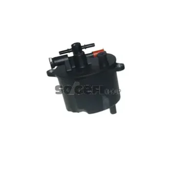 FRAM P11736