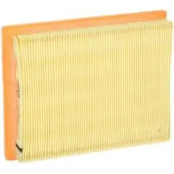 Fram-Au CA5496