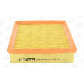 CHAMPION CAF100981P
