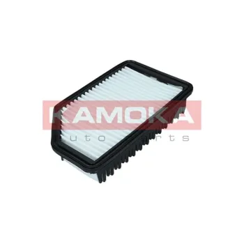 KAMOKA F247301