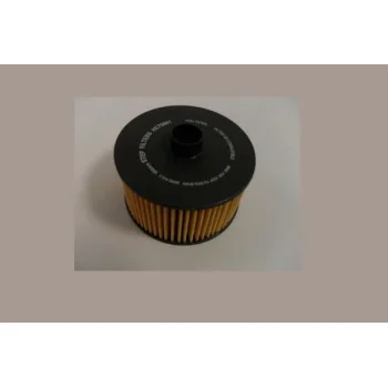 STEP FILTERS HC75991