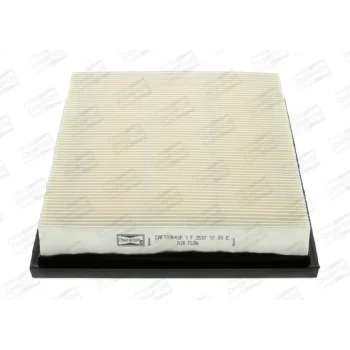 CHAMPION CAF100640P