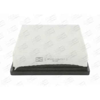 CHAMPION CAF100729P