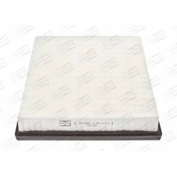 CHAMPION CAF100547P