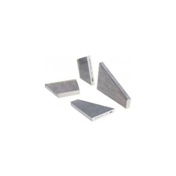 FRA 144/101 MAYERS FILTER Воздушный фильтр (салонный)