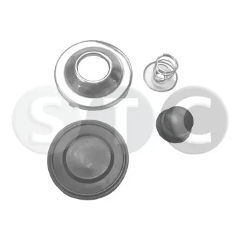 STC T404419