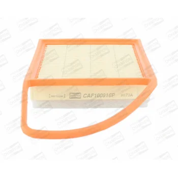 CHAMPION CAF100916P