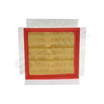 STARLINE SF VF7531