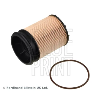 BLUE PRINT ADBP230008