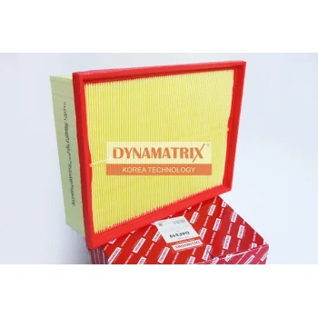 DYNAMATRIX DAF819