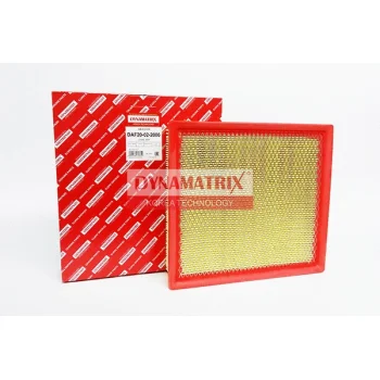 DYNAMATRIX DAF20-02-2006