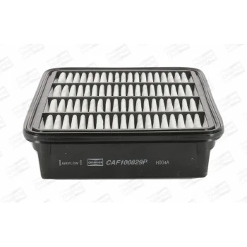 CHAMPION CAF100829P