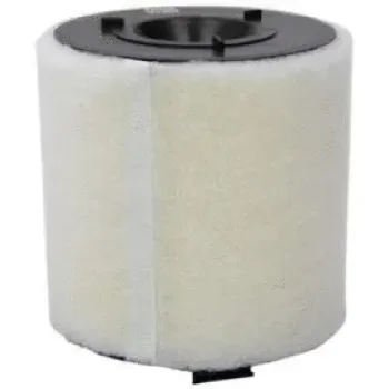 Fram-Au CA10822