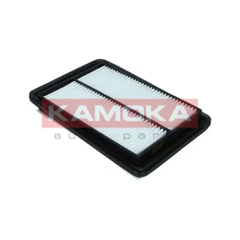 KAMOKA F247601