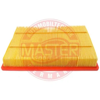 MASTER-SPORT GERMANY 33189/1-LF-PCS-MS