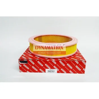 DYNAMATRIX DAF317