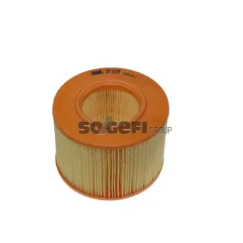 FRAM CA5229