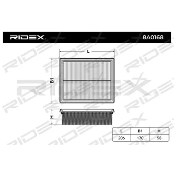 RIDEX 8A0168