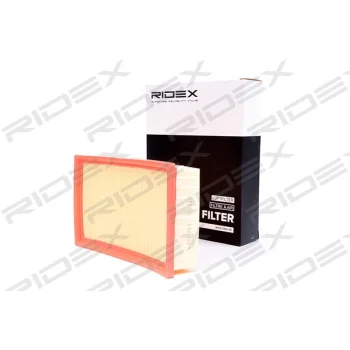 RIDEX 8A0046