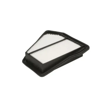 JC PREMIUM B24081PR