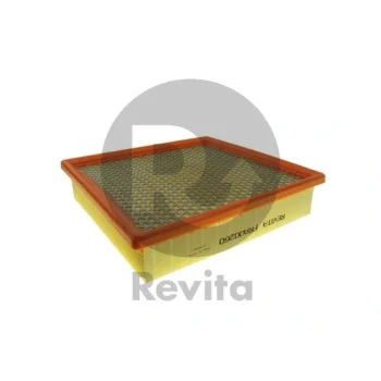 REVITA FRA00260