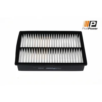 ProfiPower 2F0161