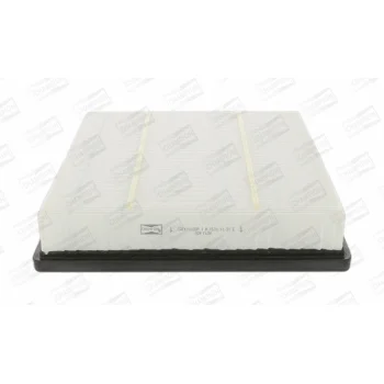 CHAMPION CAF100838P