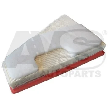 AVS AUTOPARTS PM893