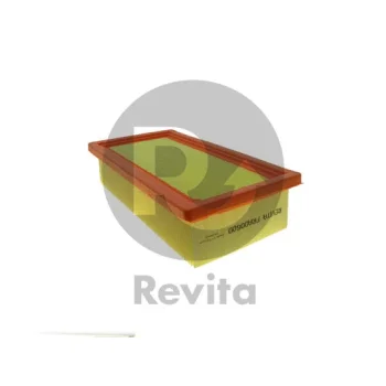 REVITA FRA00600