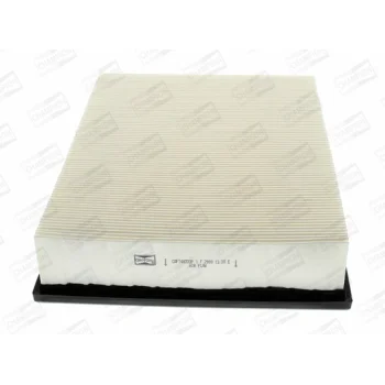 CHAMPION CAF100733P
