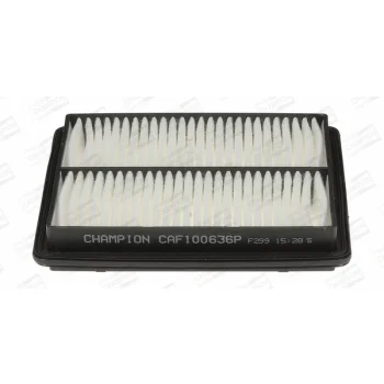 CHAMPION CAF100636P