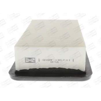 CHAMPION CAF100873P